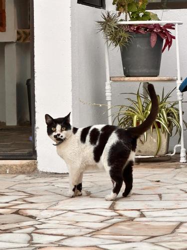 Nina's Stay Hostel Nina's Stay Hostel