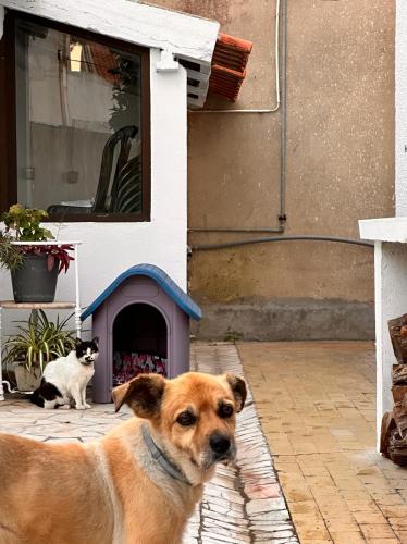 Nina's Stay Hostel Nina's Stay Hostel