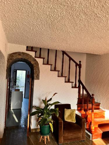 Nina's Stay Hostel Nina's Stay Hostel