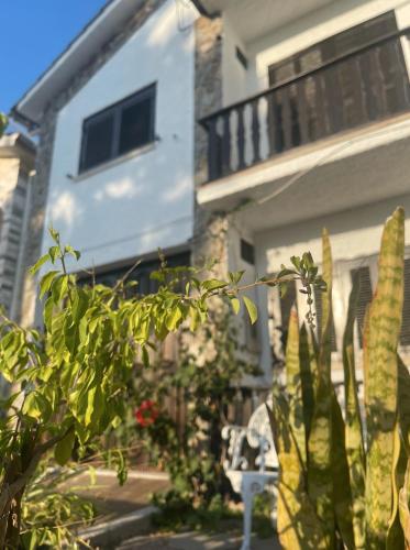 Nina's Stay Hostel Nina's Stay Hostel