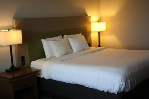 1 queen bed, 1 sofa bed