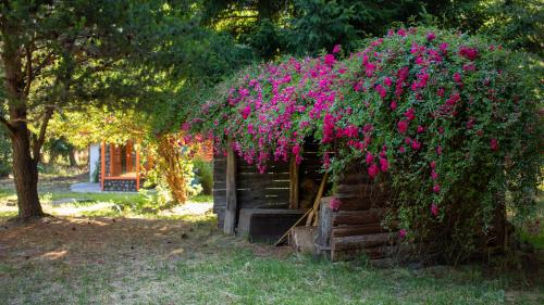 Petit Cottage