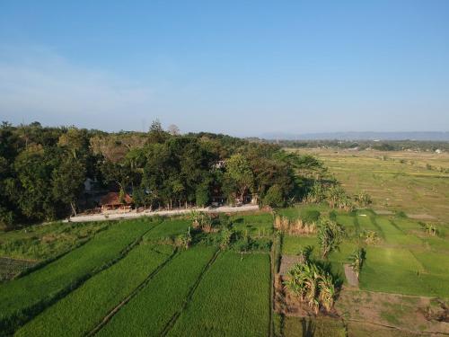 Villa Sare - House with panorama rice field view