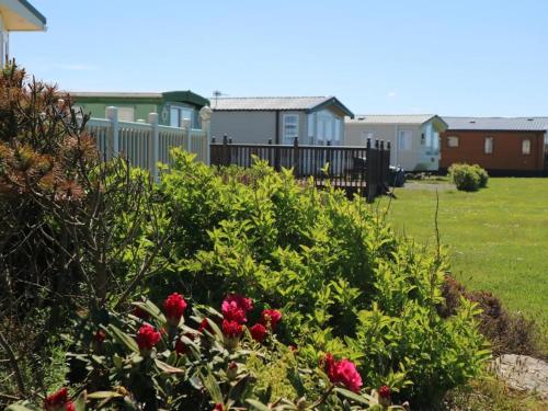 Searivers 98Lemmington by the beach Ynyslas, Borth