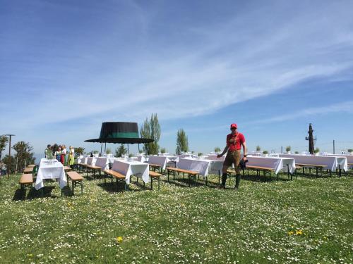 Panoramahotel Steirerland - image 7