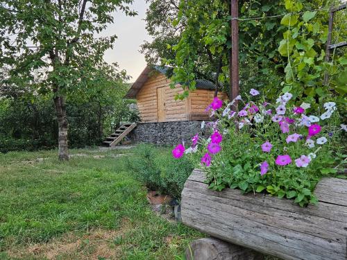 Guest House Aleksandre