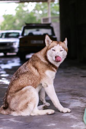 PIT STOP B&B Guesthouse