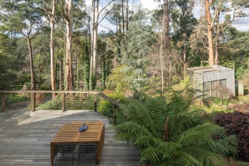 Dandenong Ranges Modernist Bush Escape