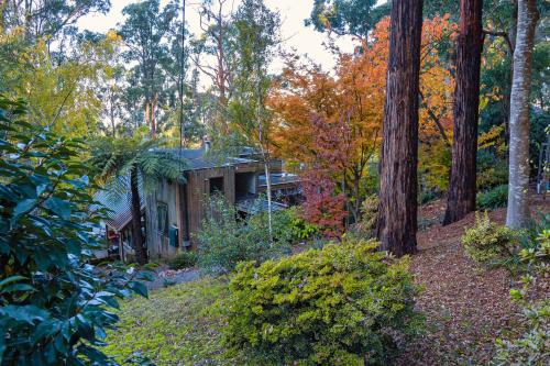 Dandenong Ranges Modernist Bush Escape