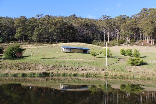 Cherryview Cygnet