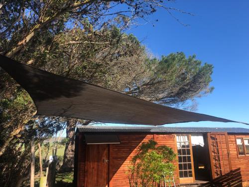 Suikerbekkie Bos in Uilenkraal