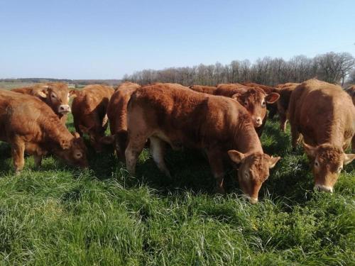 Gite à la ferme 15 personnes avec jacuzzi