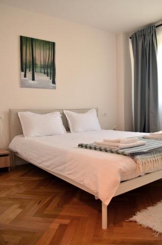Apartament Mony, Temešvár (fotografie 6)