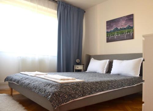 Apartament Mony, Temešvár (fotografie 5)