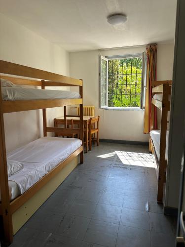 Bunk Bed in Mixed Dormitory Room