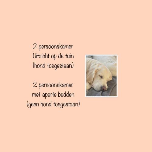  Zilt Texel in De Cocksdorp