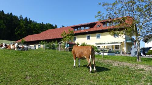 Ferienwohnung Steger