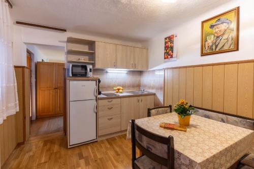 廚房, Apartments Kocjanc in 斯雷德尼亞華斯-博希尼尤