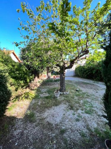 Agréable maison provençale avec jardin, Марсель (фото 5)