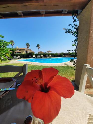 B&B Villasimius - Residence Le Bouganville - Bed and Breakfast Villasimius