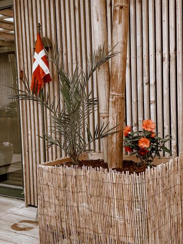 Guesthouse Klitmøller in Thisted
