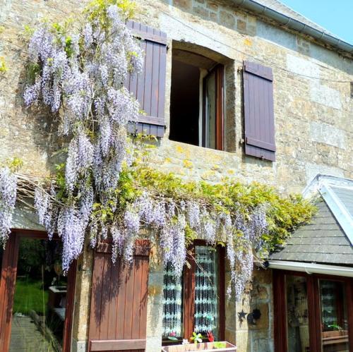 Bienvenue à La Sélinière ! (Bienvenue a La Seliniere !) in Champ-du-Boult
