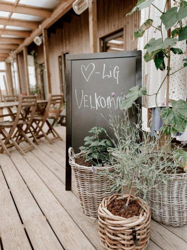 Guesthouse Klitmøller – Thisted, TX