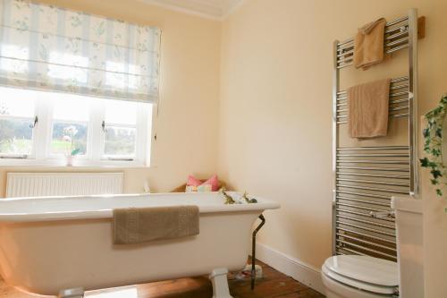 Huntlands Farm Bed & Breakfast - image 6