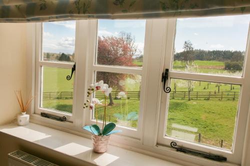 Huntlands Farm Bed & Breakfast - image 10