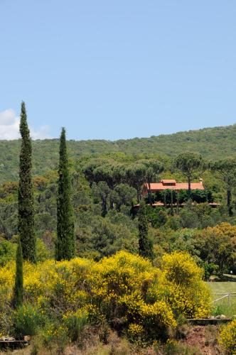 Villa La Stella