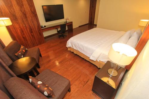487678351 Holiday Inn Leon by IHG