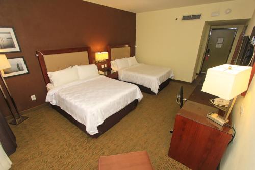 487678355 Holiday Inn Leon by IHG