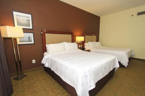 487678416 Holiday Inn Leon by IHG