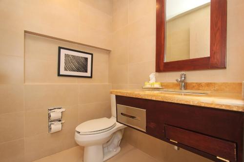 487678419 Holiday Inn Leon by IHG