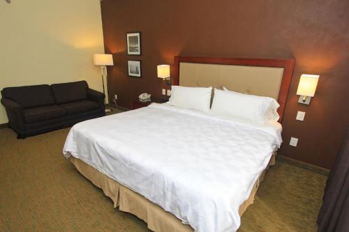 487678428 Holiday Inn Leon by IHG