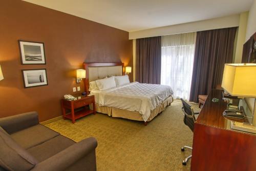 487678447 Holiday Inn Leon by IHG