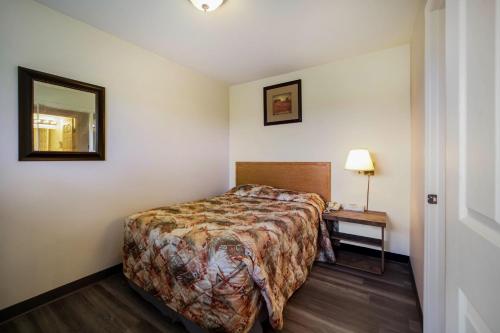Blue Belle Motel Room Type - 2 Double Beds Kitchenette Suite Non Smoking