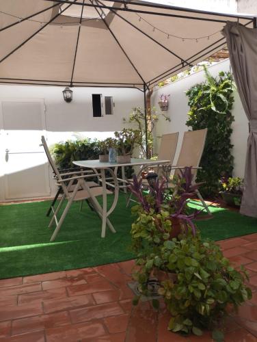 Patios con encanto, Kordoba (zdjęcie 5)
