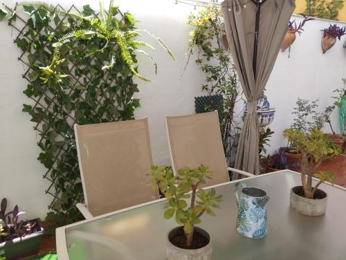 Patios con encanto, Kordoba (zdjęcie 10)