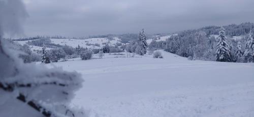 Agroturystyka ,Jarzębina'