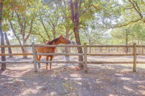 Horse-Friendly Weatherford Oasis with Splash Pool