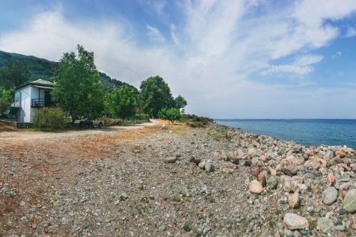 Lemongarden by the sea - Χορευτό