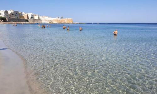 Amira Apartments Trapani