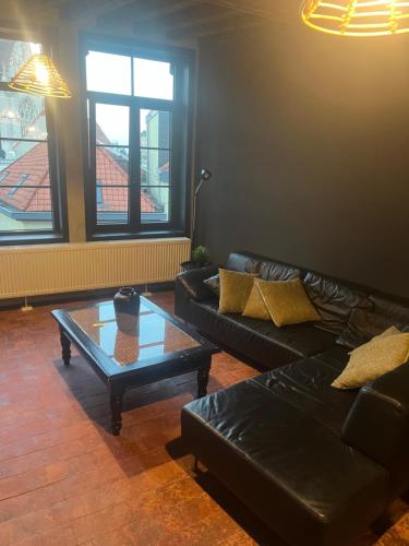 Rooftop apartment with 60m terrace overlooking the cathedral, Amberes (foto 10)