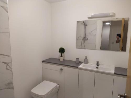 Spacious Two bedroom City apartment Longs Place, Dublin 8, Dublin (fotografie 4)