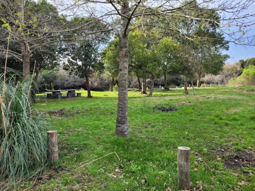 Casa en barrio de Chacras in Carmelo