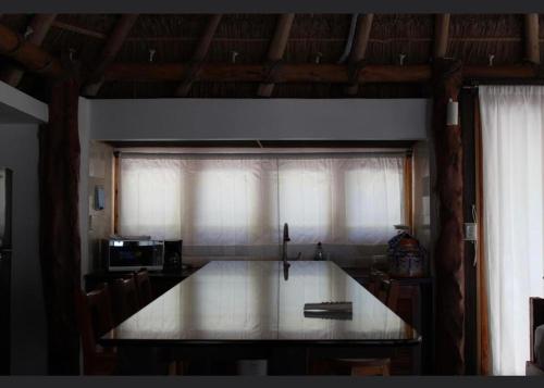 Foto - Rhincodon Typus, Holbox Eco•Boutique•Palapas