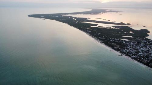 Photo - Rhincodon Typus, Holbox Eco•Boutique•Palapas