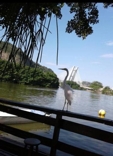 Ilha da Gigóia. Ilha Primeira. A Veneza Carioca