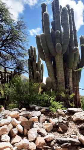 El Molino de Cachi in 카치